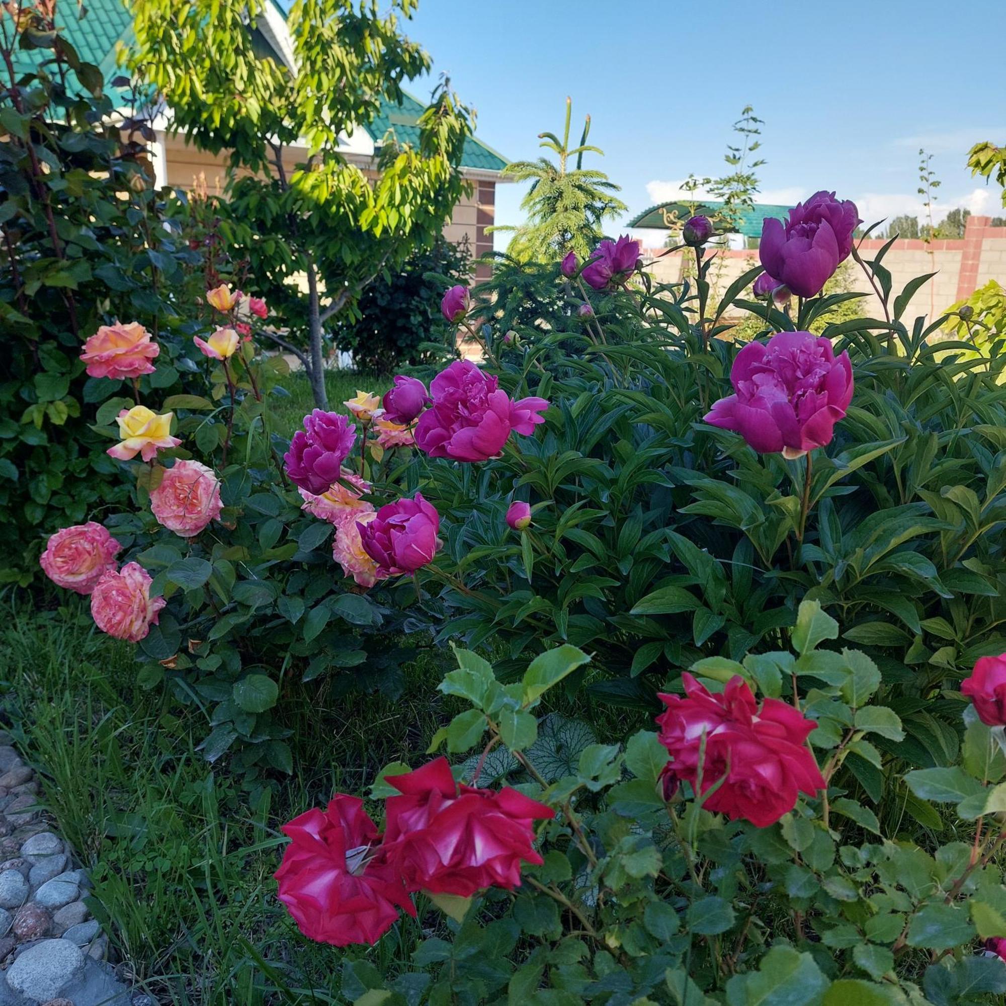 Svetlana Guest House Bokonbayevo Kültér fotó